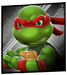 raph_75.png